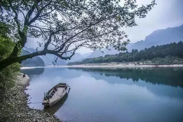 阿凯历险记