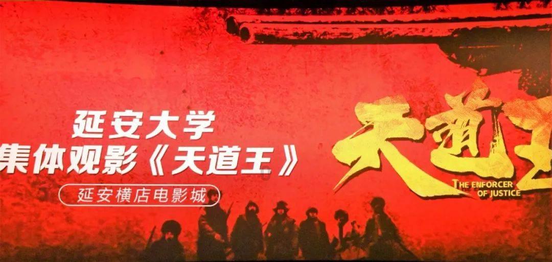 创作猫
