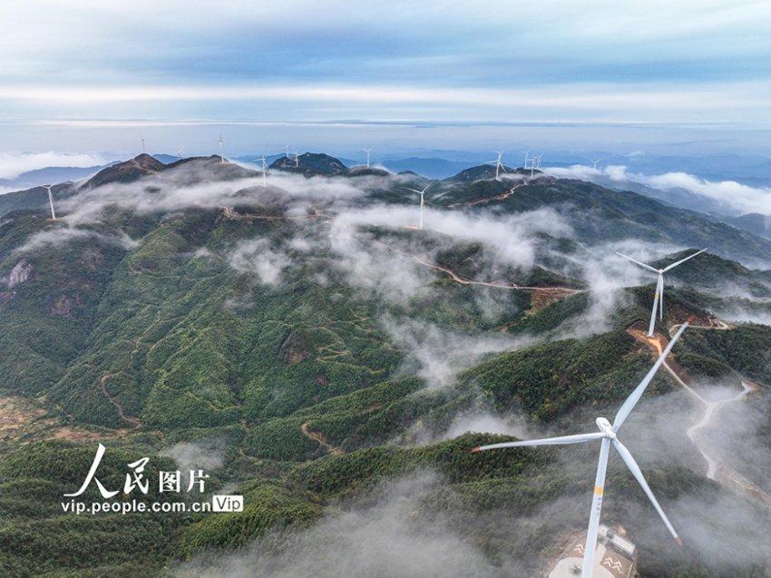 大象起舞,A股疯涨!回顾去年的救市失败,这次能兜住底吗?