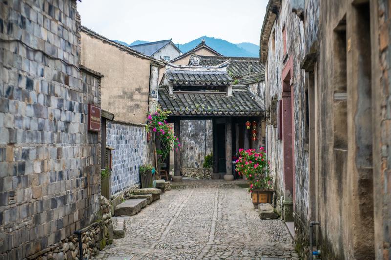 逃出小象森林