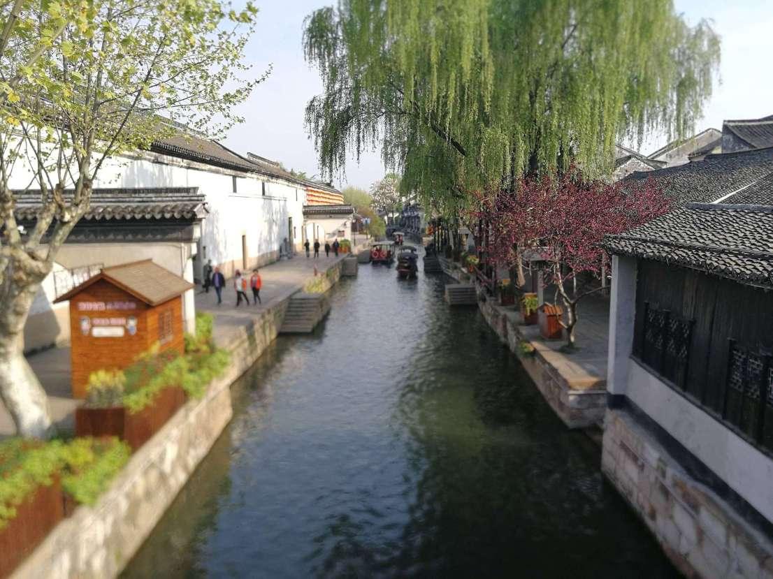 绝地反击：2024娱乐圈最大复仇励志故事