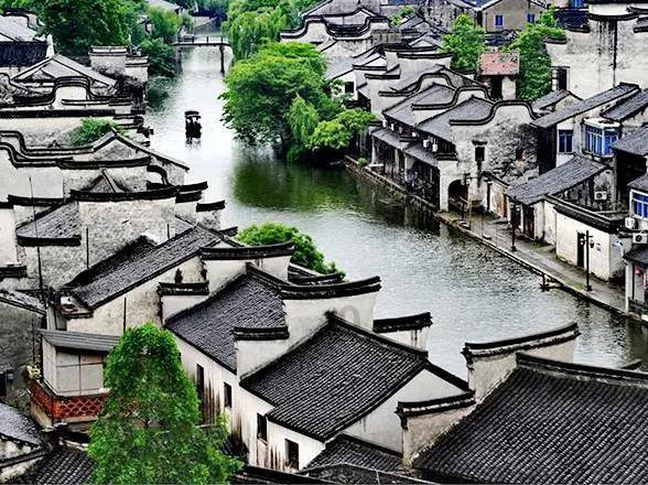 村民清早偶遇呆萌羚牛还深情对视