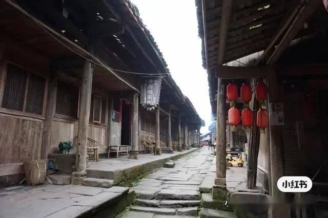 想挖董宇辉，又放低主播门槛 京东直播着急翻盘